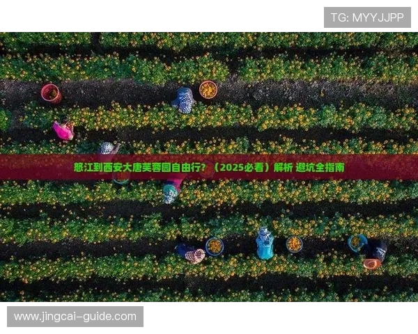 滚球中的全场让球盘规则避坑指南电子真人防骗技巧